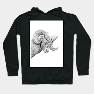 The Ram Hoodie